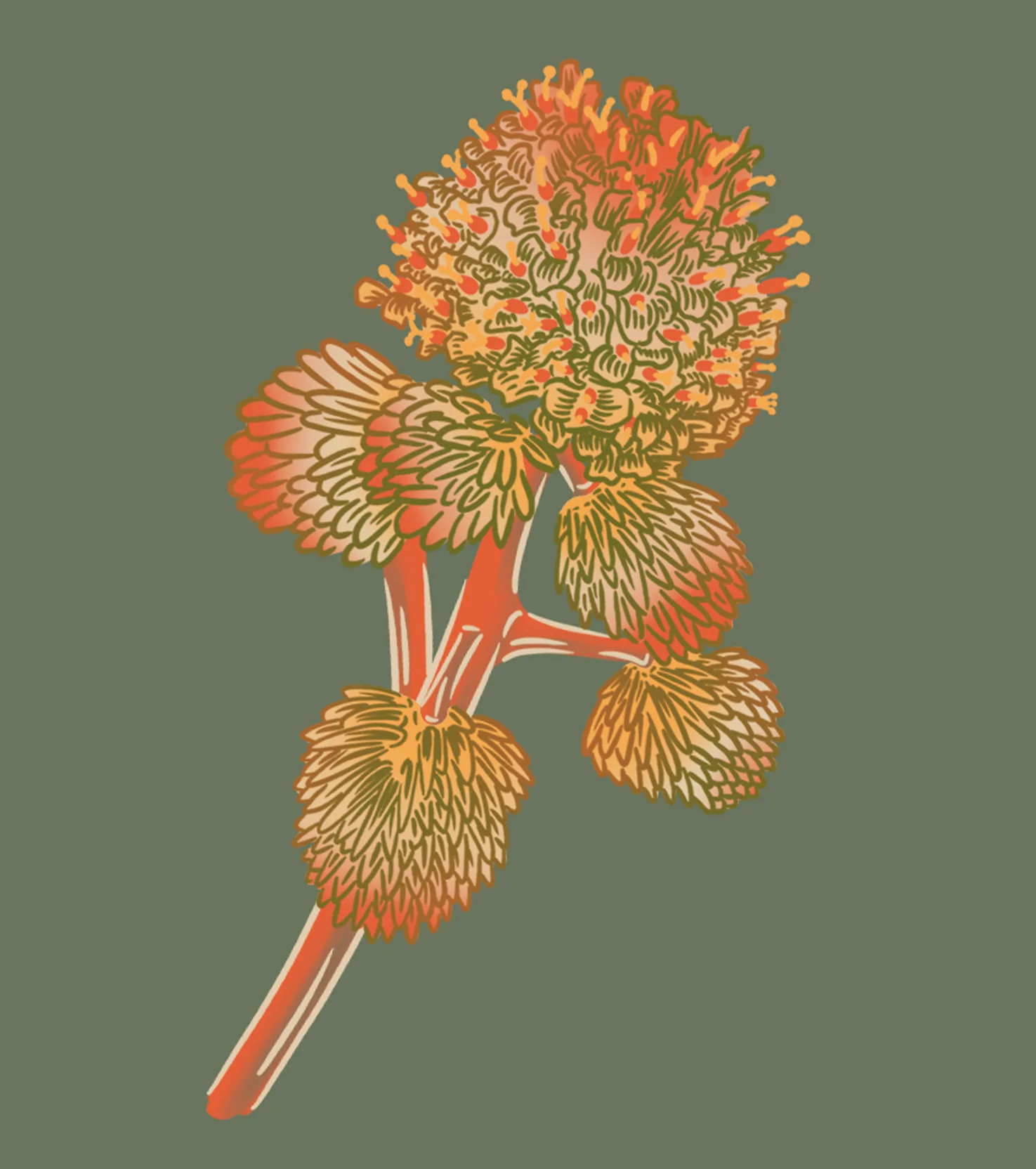 Borlon
